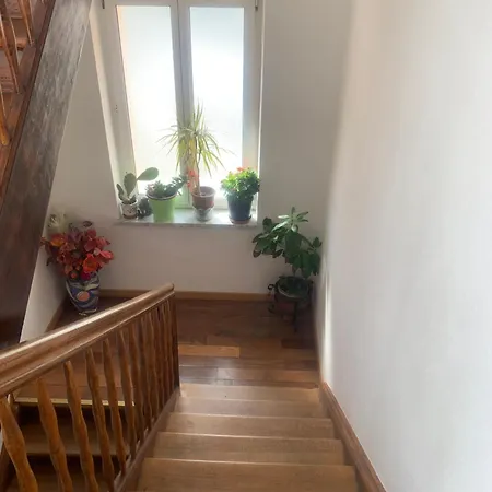 Rose Appartement