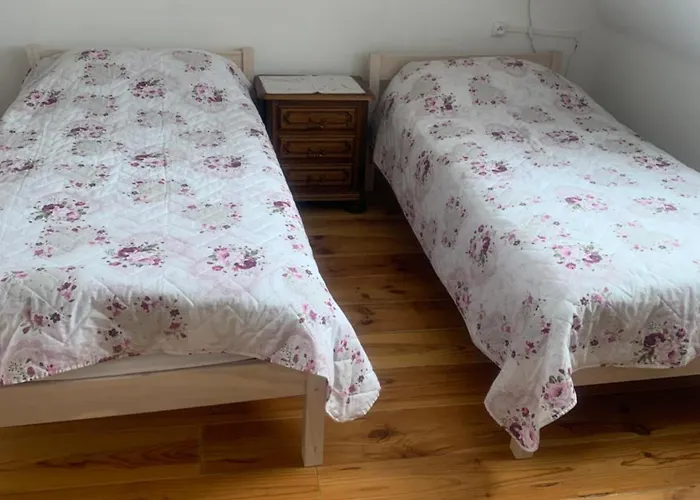 Rose Appartement Colmar